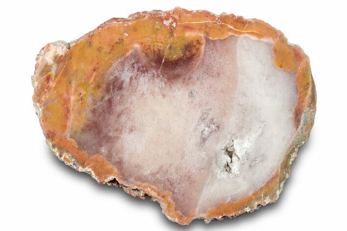 Colorful Sinbad Agate Nodule Half - Utah #285558